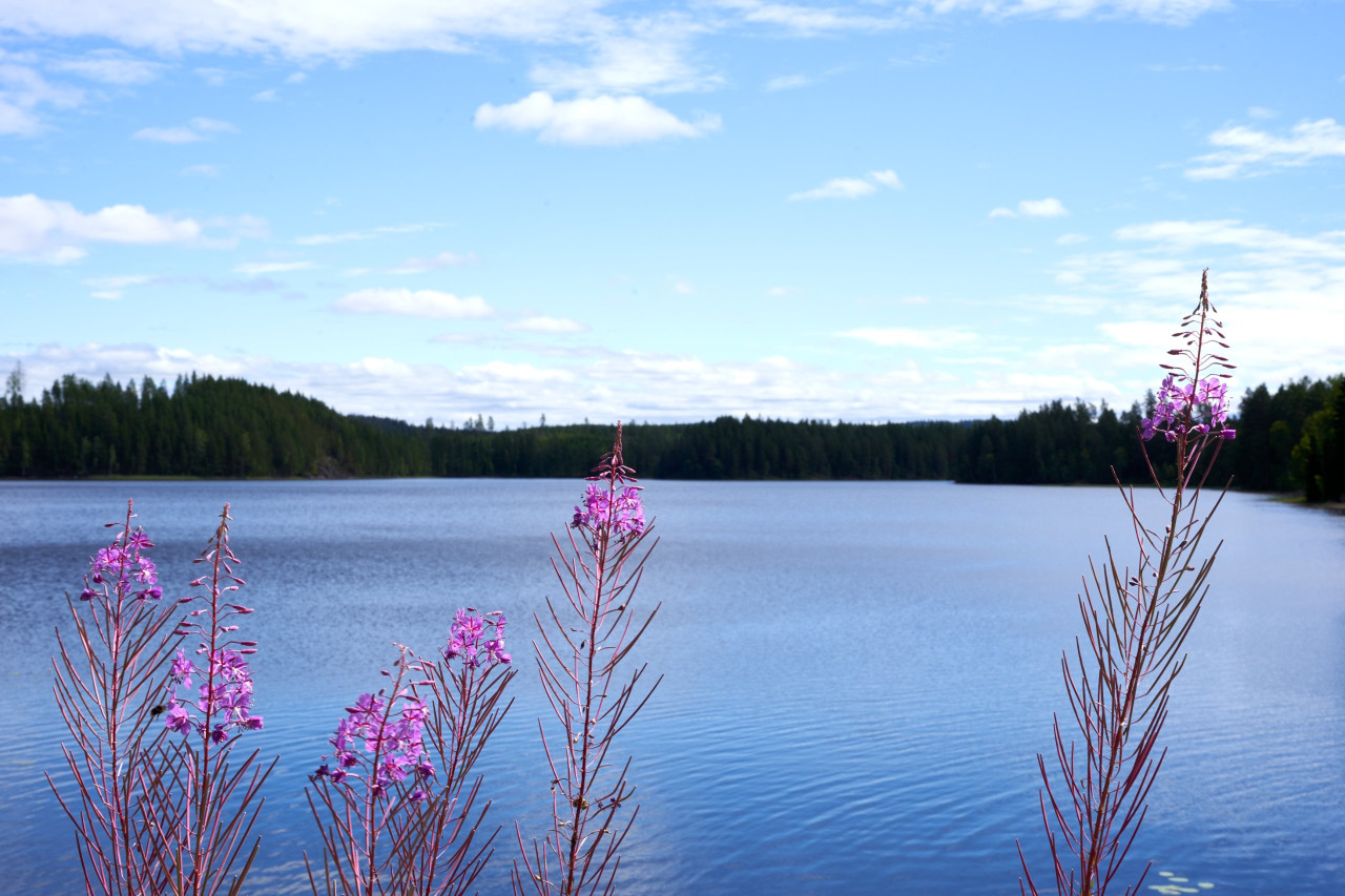 2022-07-22 Sverige 0569