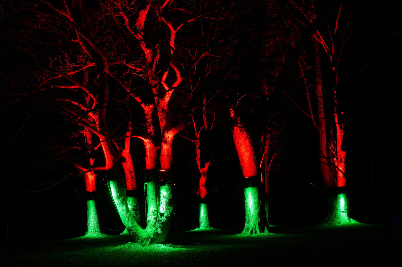 2025-02-04 Parkleuchten 0228