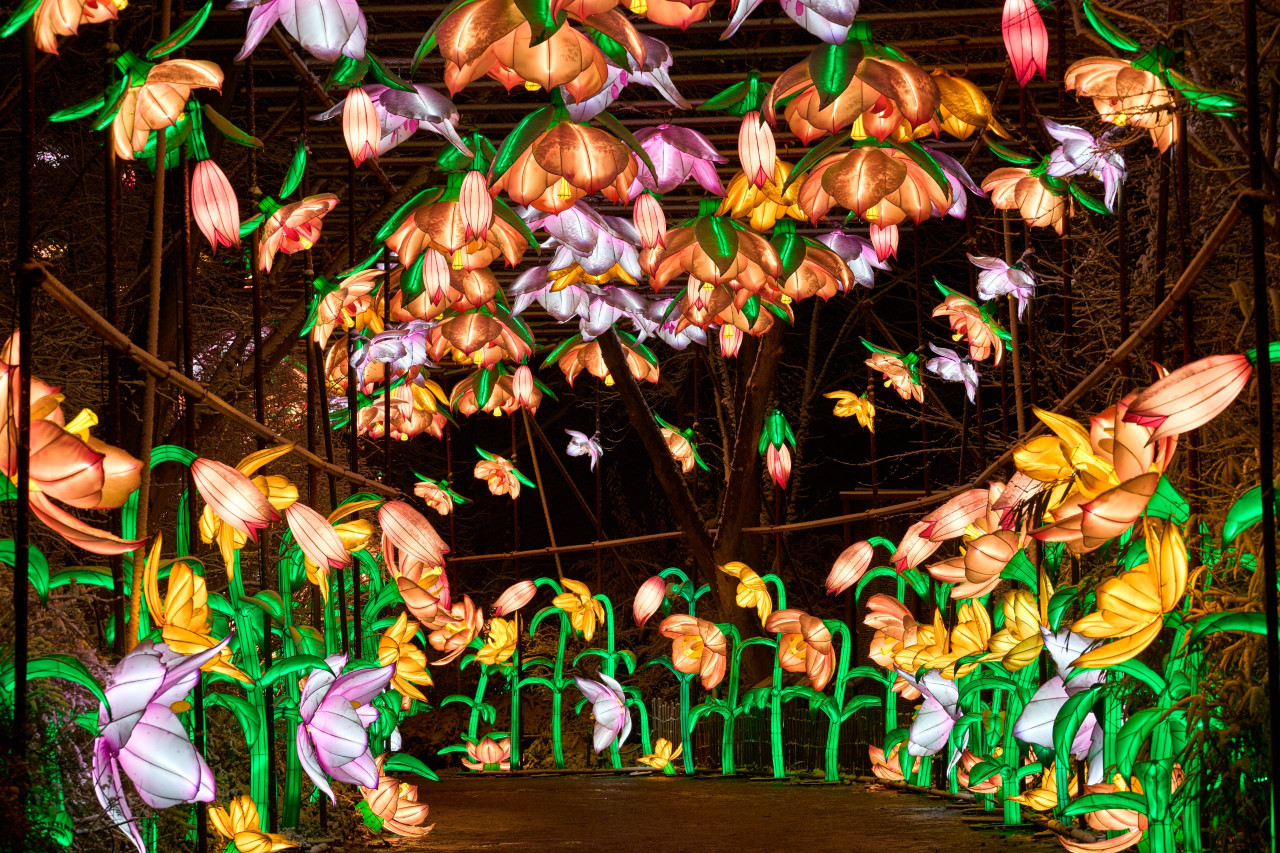 2026-01-05 China Lights 0227