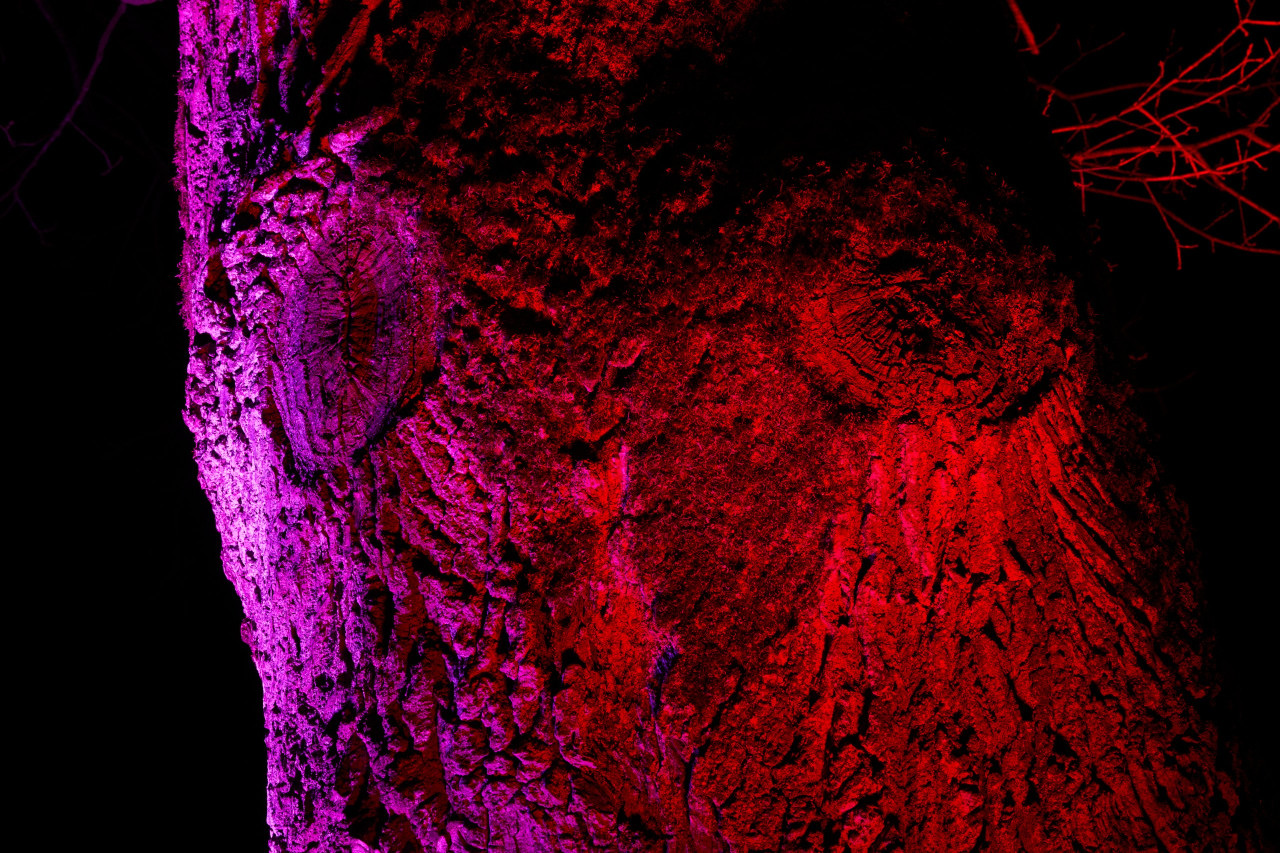 2026-02-03 Parkleuchten 0215