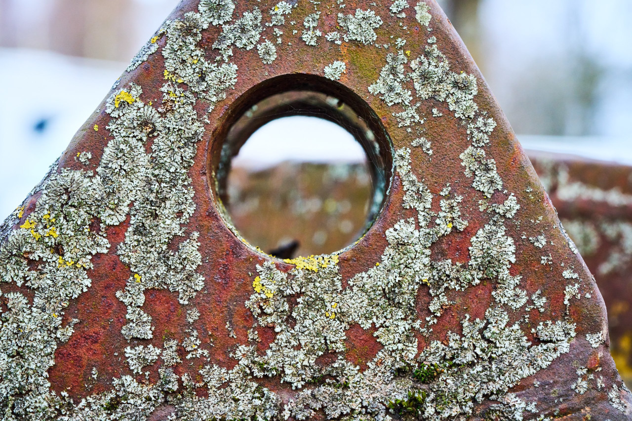 2026-03-07 Landschaftspark Nord 0300