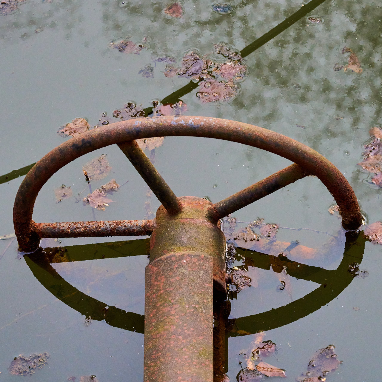 2026-03-07 Landschaftspark Nord 0083