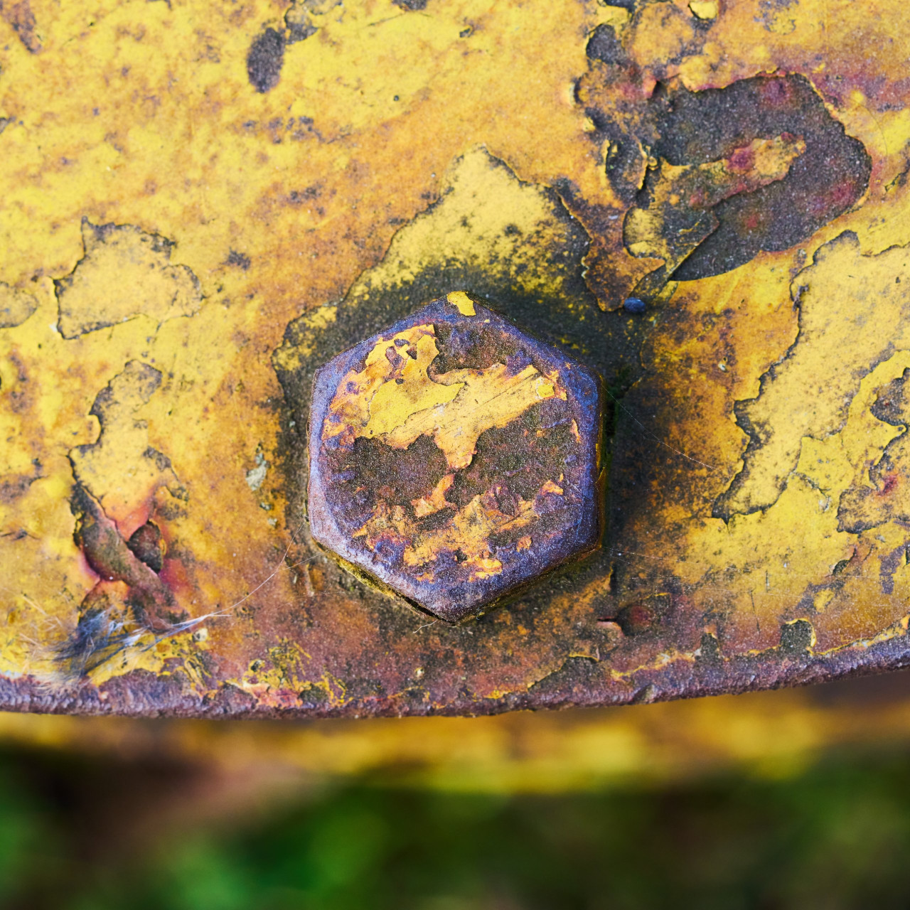 2026-03-07 Landschaftspark Nord 0320