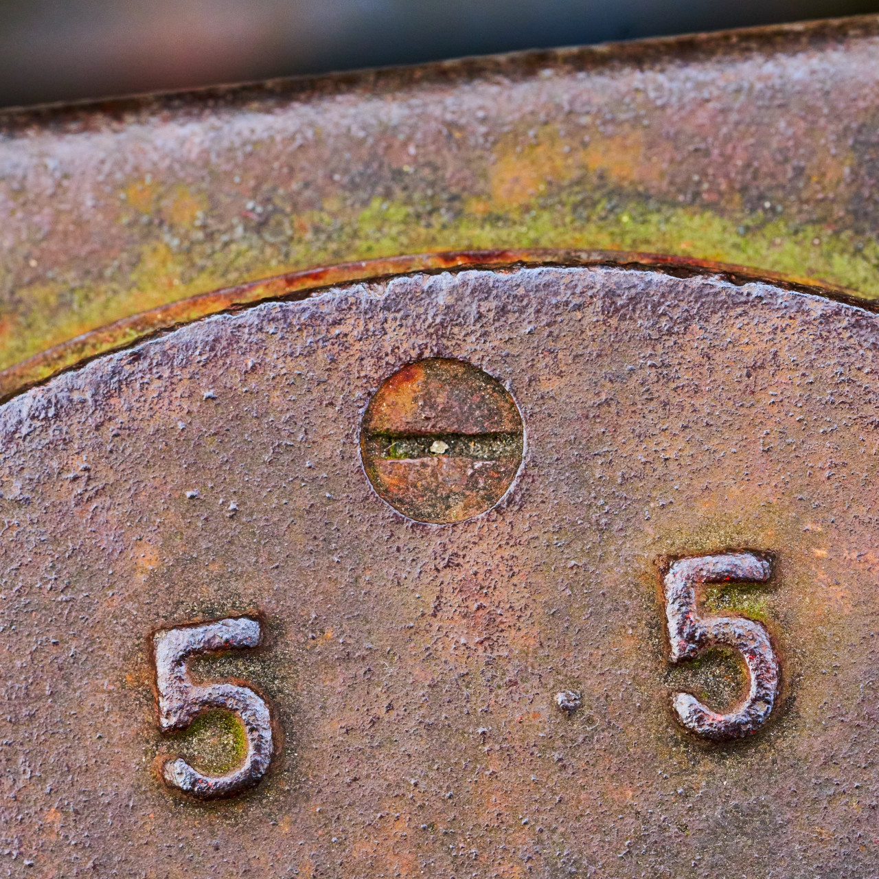 2026-03-07 Landschaftspark Nord 0384