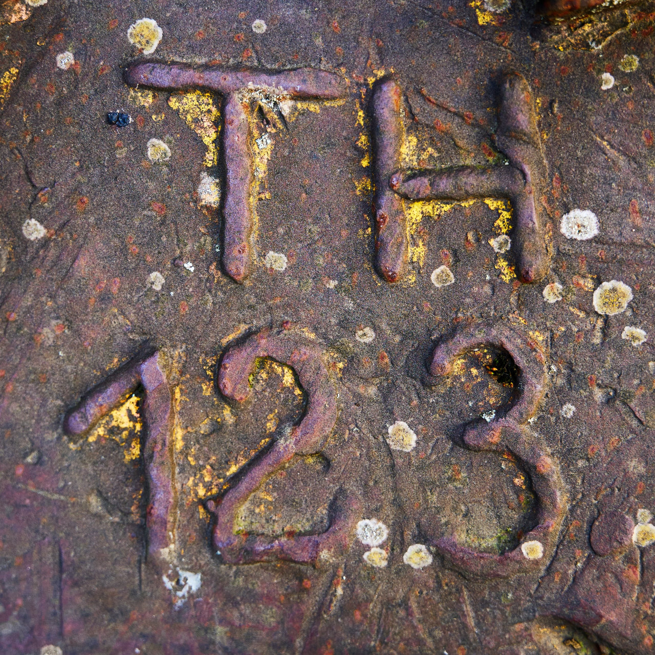 2026-03-07 Landschaftspark Nord 0046