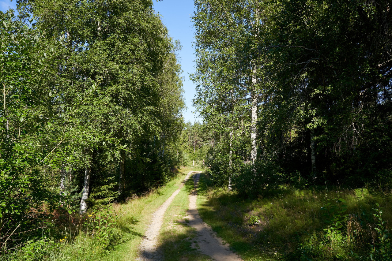 2022-07-22 Sverige 0701