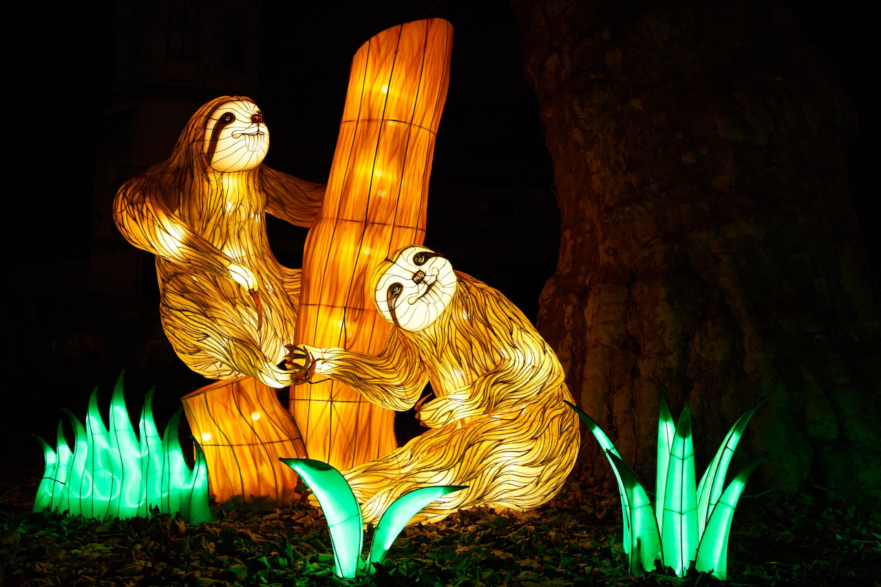 Lichterfest-0063