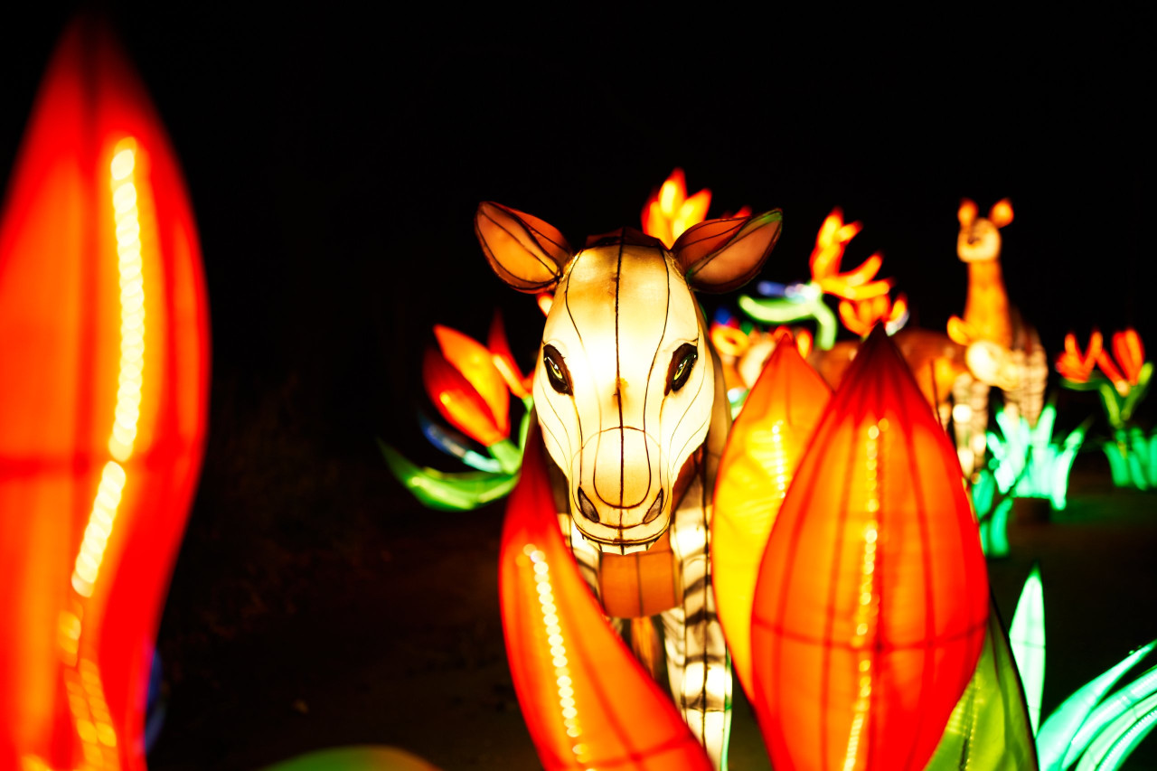 Lichterfest-0092