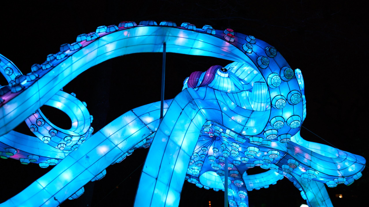 Lichterfest-0111