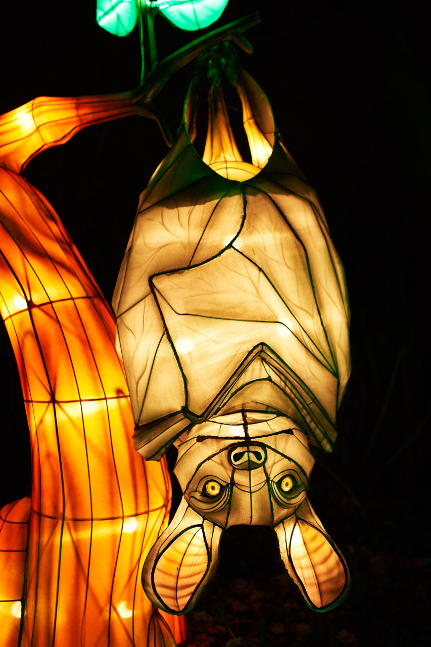 Lichterfest-0146