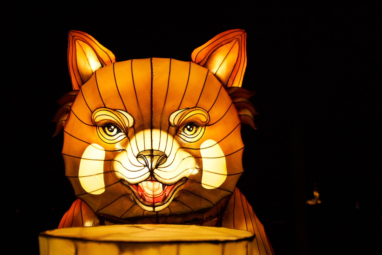 Lichterfest-0149
