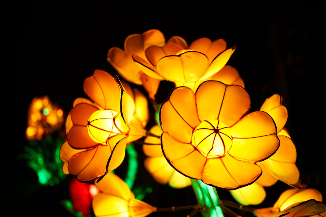 Lichterfest-0172