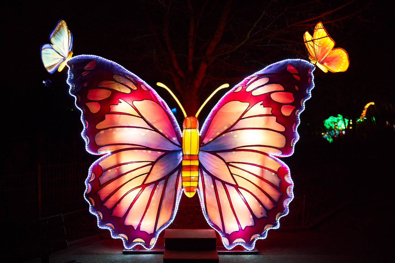 Lichterfest-0190