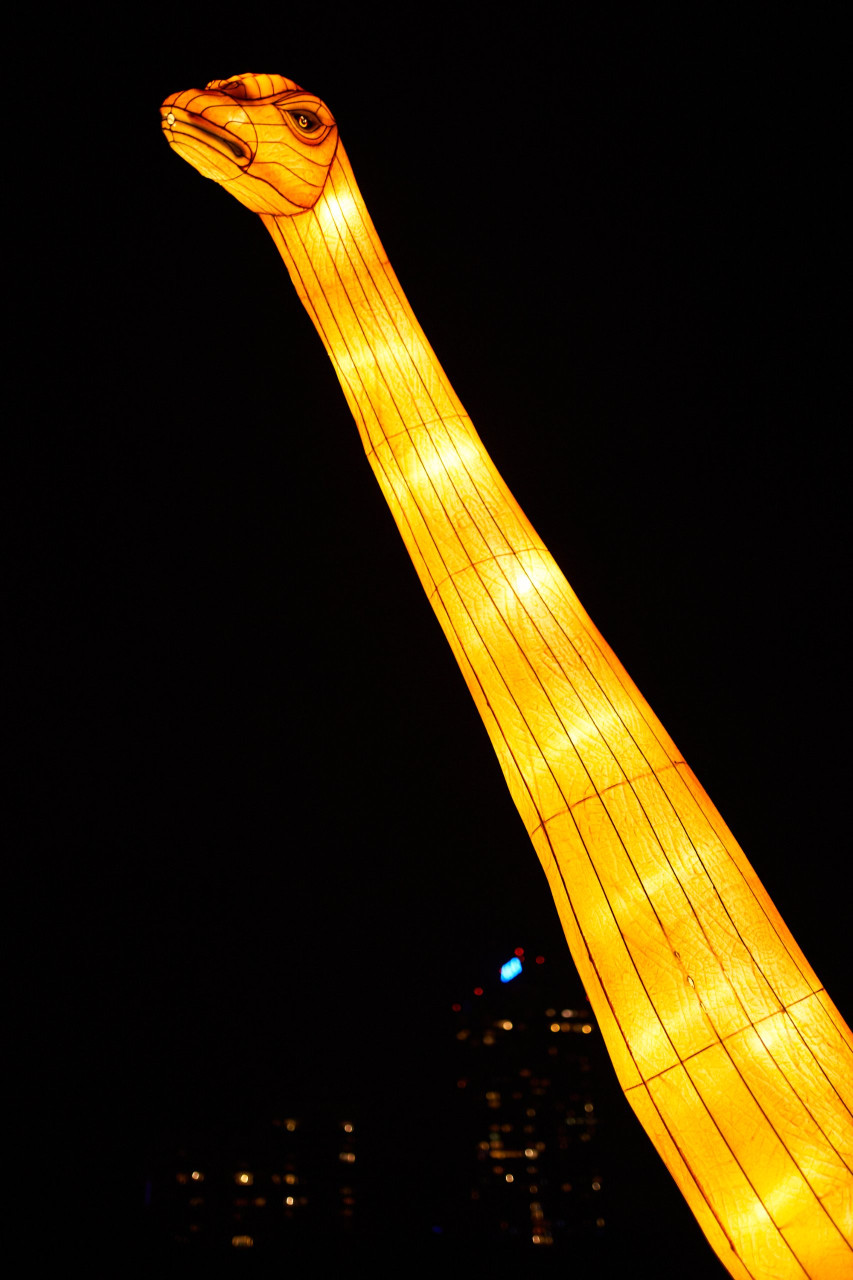 Lichterfest-0219