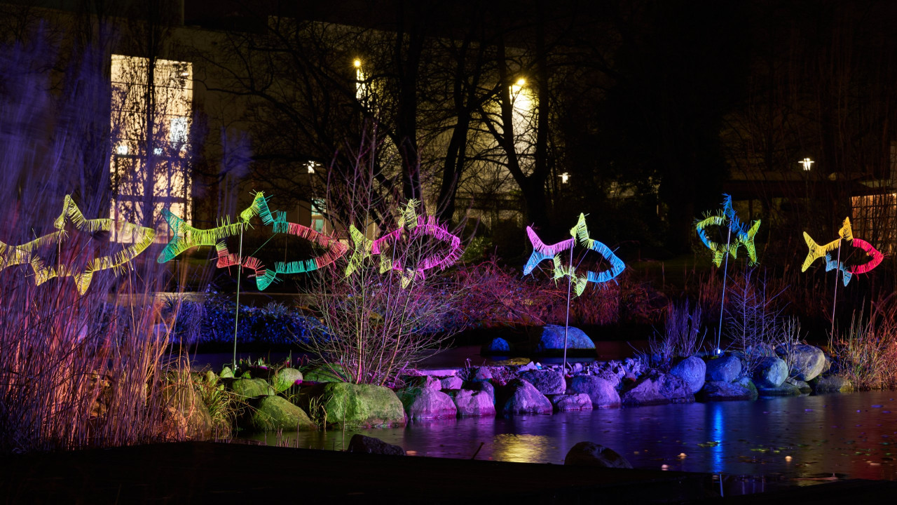 2023-01-23 Parkleuchten 0055