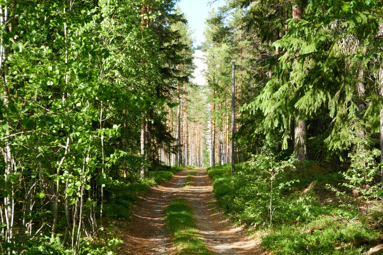 2024-05-24 Sverige 0102