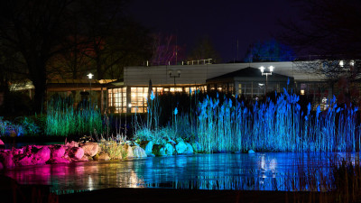 2025-02-04 Parkleuchten 0085