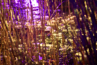 2025-02-04 Parkleuchten 0245
