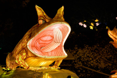 2026-01-05 China Lights 0082
