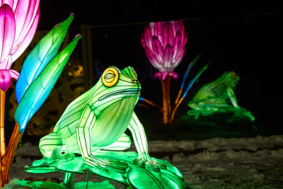 2026-01-05 China Lights 0094