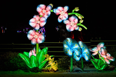 2026-01-05 China Lights 0106
