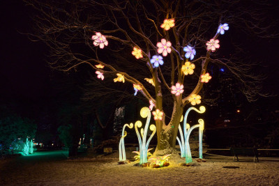 2026-01-05 China Lights 0128