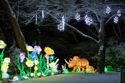 2026-01-05 China Lights 0174