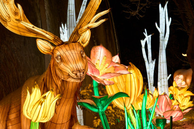 2026-01-05 China Lights 0222