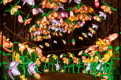 2026-01-05 China Lights 0227
