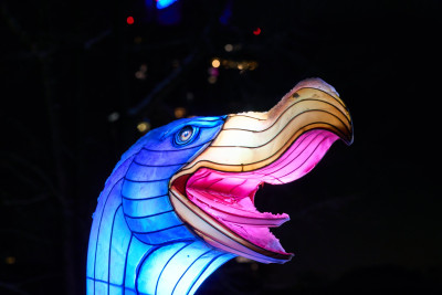 2026-01-05 China Lights 0241