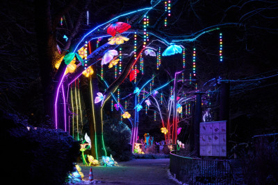 2026-01-05 China Lights 0259