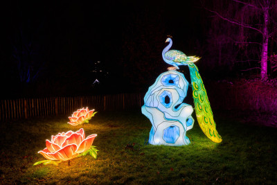 2026-02-03 Parkleuchten 0014