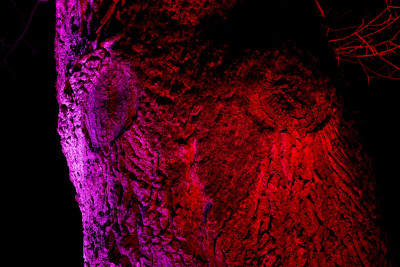 2026-02-03 Parkleuchten 0215