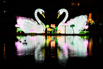 Lichterfest Kölner Zoo 01/2020