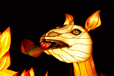 Lichterfest-0096