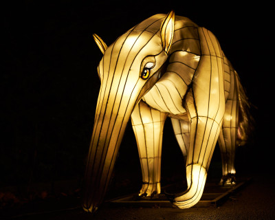 Lichterfest-0100