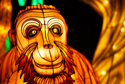 Lichterfest-0103