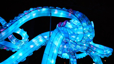 Lichterfest-0111