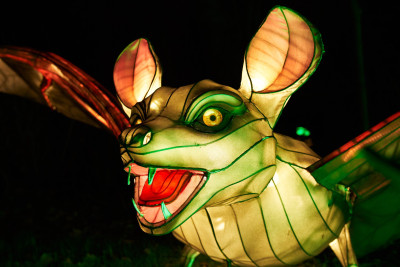 Lichterfest-0142