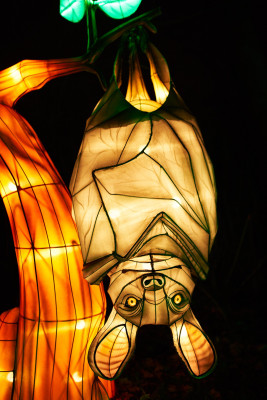 Lichterfest-0146