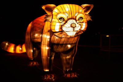 Lichterfest-0157