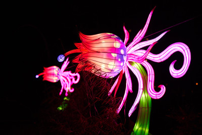 Lichterfest-0164