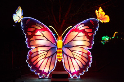 Lichterfest-0190