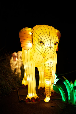 Lichterfest-0193