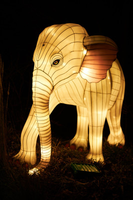 Lichterfest-0196