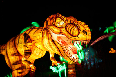 Lichterfest-0214