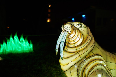 Lichterfest-0221
