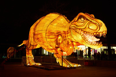 2024-01-03 Köln Zoo China Lights 1030