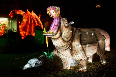 2024-01-03 Köln Zoo China Lights 1058