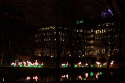 2024-01-03 Köln Zoo China Lights 1048